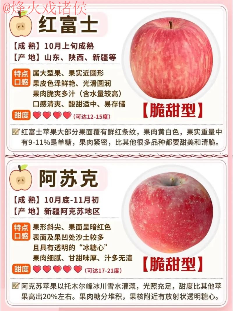 世界杯盘口苹果热门推荐解析与分析